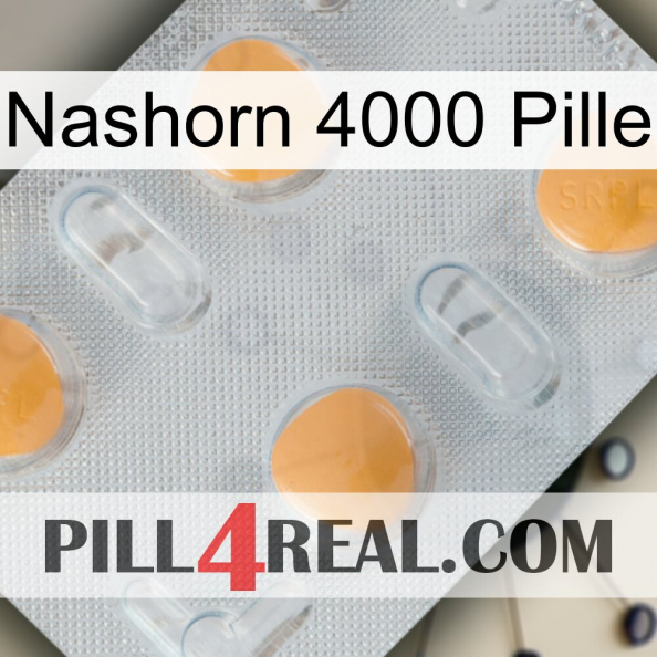 Rhino 4000 Pill 24